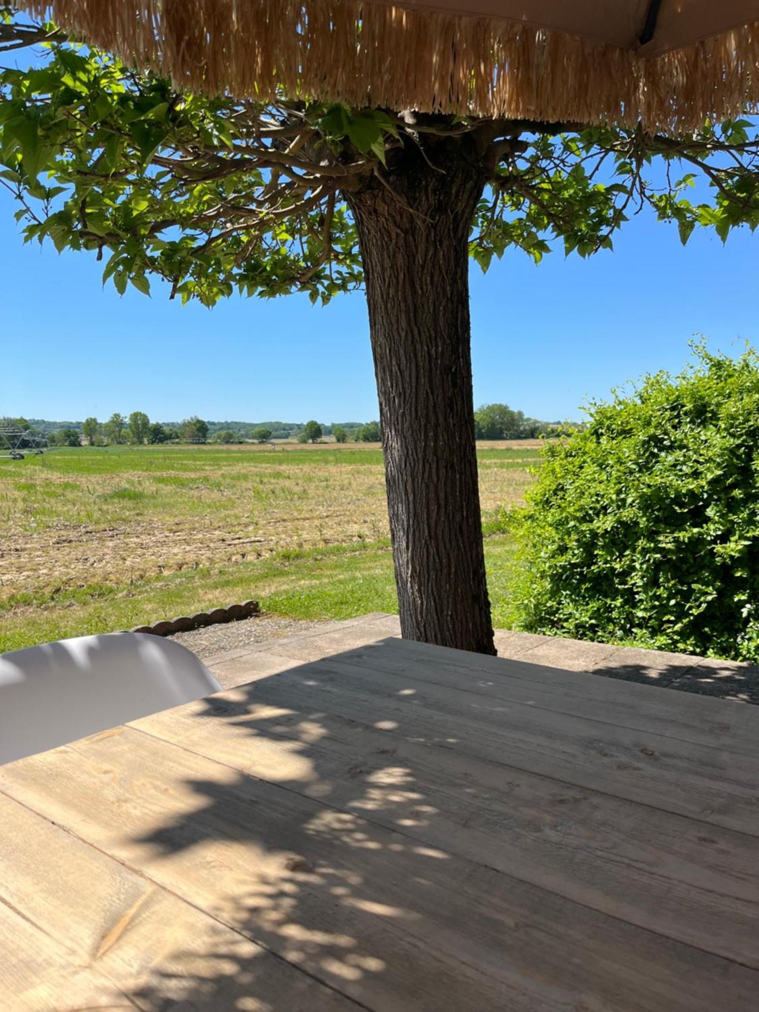 Gite 1, Domaine Logis Gascogne Saint-Justin  Esterno foto